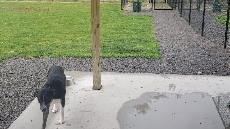 Ada Dog park - Ada, OH