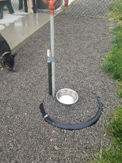 Ada Dog park - Ada, OH