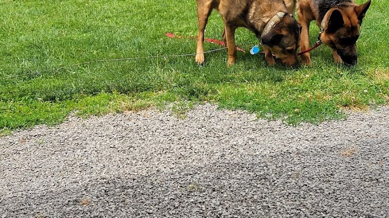 Ada Dog park - Ada, OH