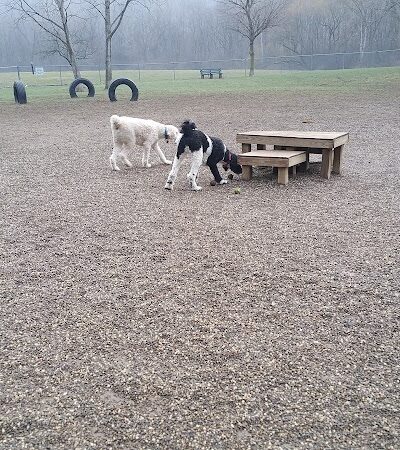 BARC - Akron Dog Park - Akron, OH