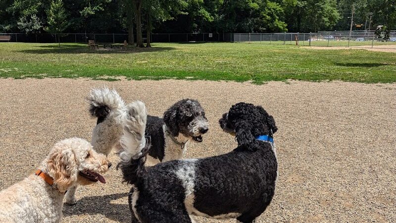 BARC - Akron Dog Park - Akron, OH
