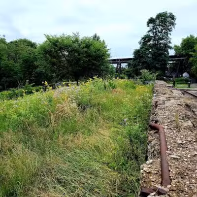 Beech Street Trailhead - Akron, OH