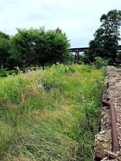 Beech Street Trailhead - Akron, OH