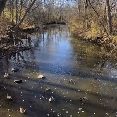 Firestone Metro Park-Tuscarawas Meadows Area - Akron, OH
