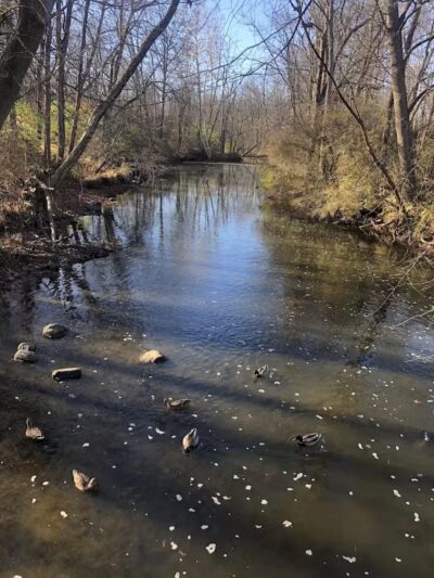 Firestone Metro Park-Tuscarawas Meadows Area - Akron, OH