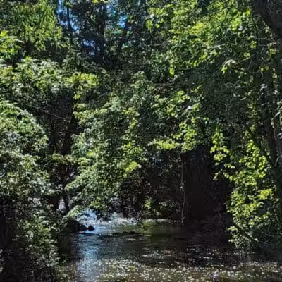 Firestone Metro Park-Tuscarawas Meadows Area - Akron, OH
