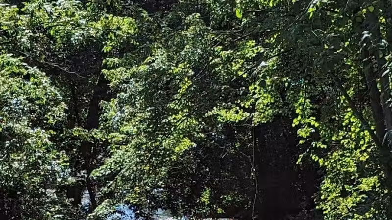 Firestone Metro Park-Tuscarawas Meadows Area - Akron, OH