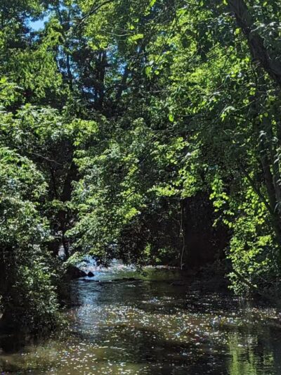 Firestone Metro Park-Tuscarawas Meadows Area - Akron, OH