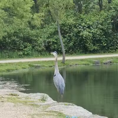 Firestone Metro Park-Tuscarawas Meadows Area - Akron, OH