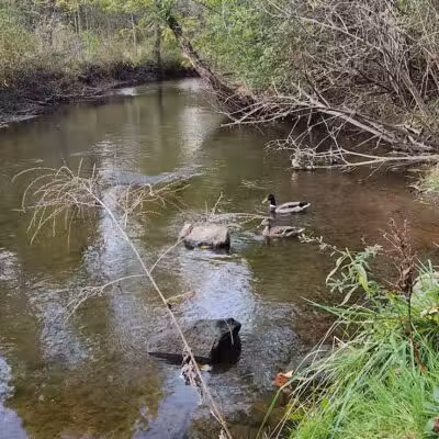 Firestone Metro Park-Warner Road Area - Akron, OH
