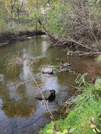 Firestone Metro Park-Warner Road Area - Akron, OH