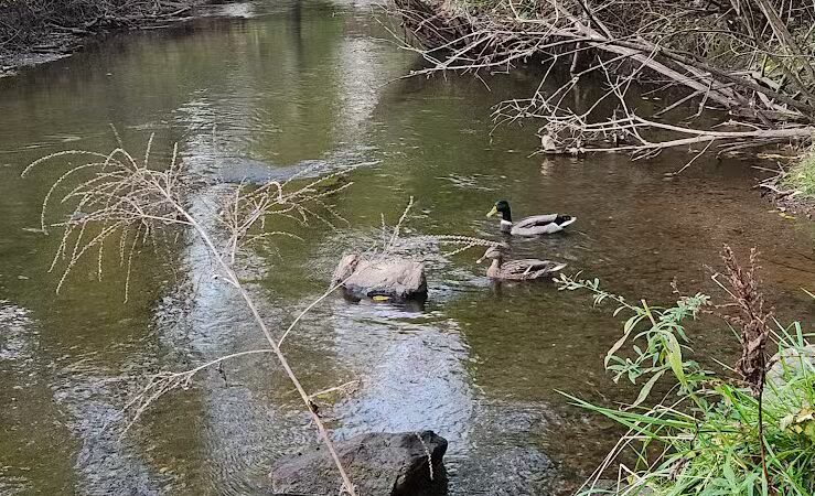 Firestone Metro Park-Warner Road Area - Akron, OH