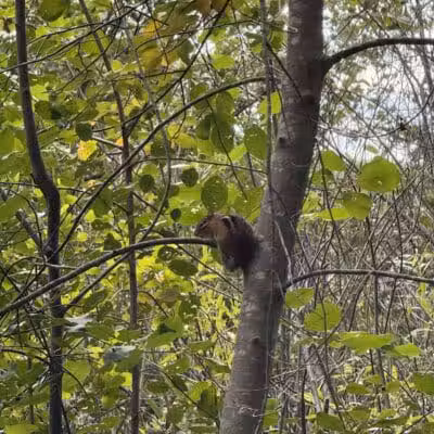 Firestone Metro Park-Warner Road Area - Akron, OH