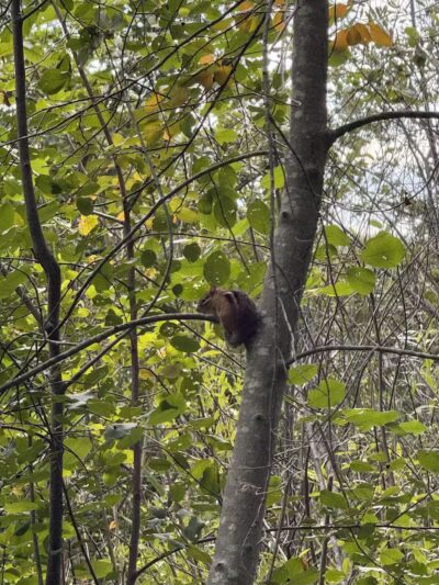Firestone Metro Park-Warner Road Area - Akron, OH