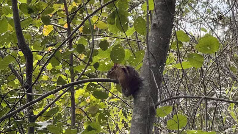 Firestone Metro Park-Warner Road Area - Akron, OH