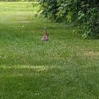 Firestone Metro Park-Warner Road Area - Akron, OH