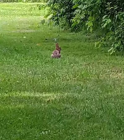 Firestone Metro Park-Warner Road Area - Akron, OH