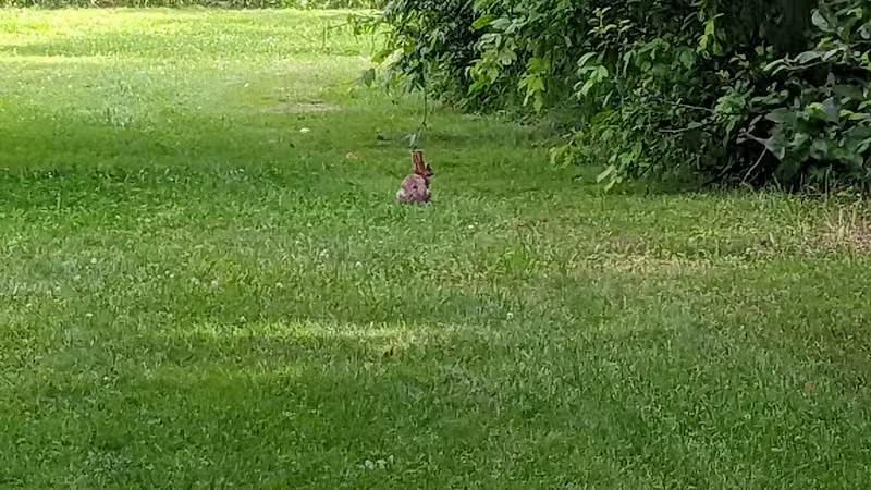 Firestone Metro Park-Warner Road Area - Akron, OH
