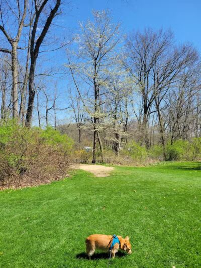 Firestone Metro Park-Warner Road Area - Akron, OH