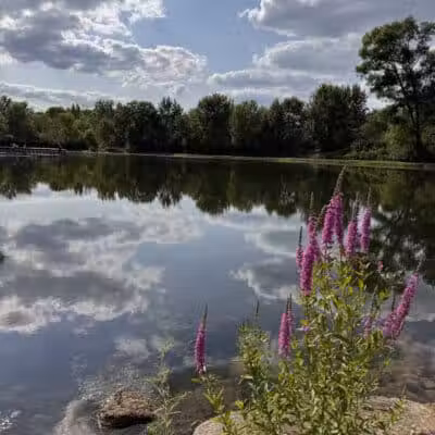 Firestone Metro Park-Warner Road Area - Akron, OH