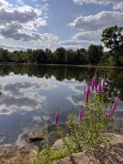 Firestone Metro Park-Warner Road Area - Akron, OH