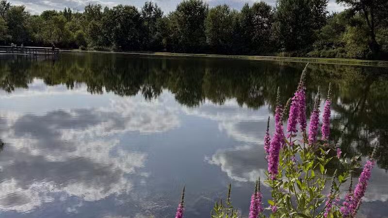 Firestone Metro Park-Warner Road Area - Akron, OH