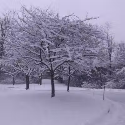 Firestone Metro Park-Warner Road Area - Akron, OH