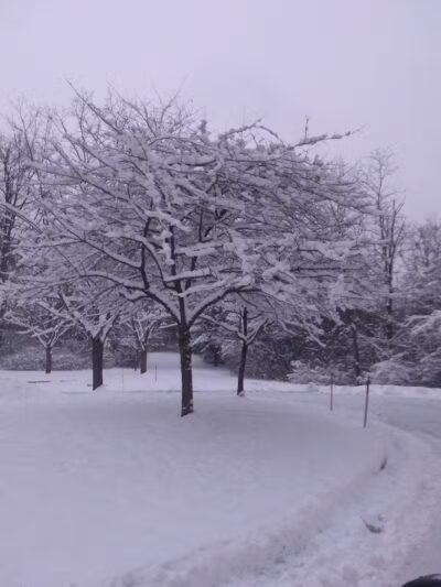 Firestone Metro Park-Warner Road Area - Akron, OH