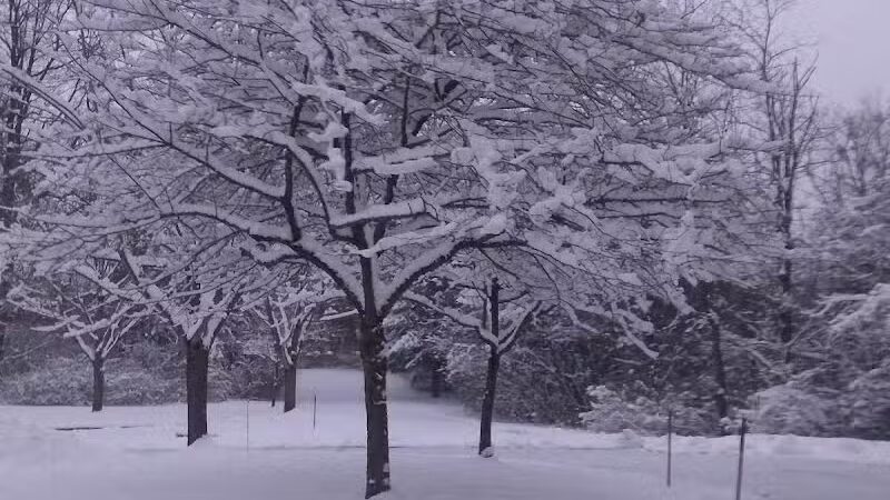 Firestone Metro Park-Warner Road Area - Akron, OH