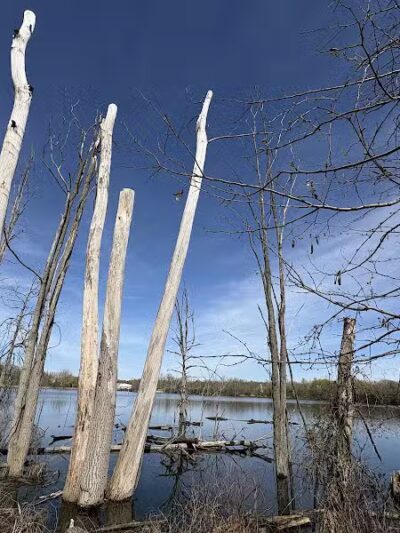 Firestone Park - Akron, OH