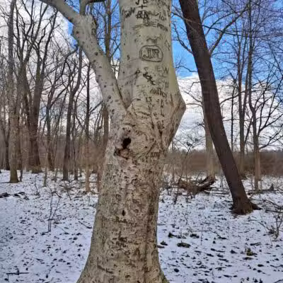 Goodyear Heights Metro Park - Pioneer Area - Akron, OH