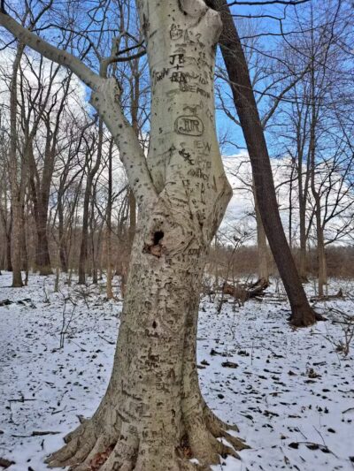 Goodyear Heights Metro Park - Pioneer Area - Akron, OH