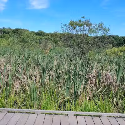 Goodyear Heights Metro Park - Pioneer Area - Akron, OH