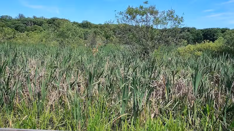 Goodyear Heights Metro Park - Pioneer Area - Akron, OH