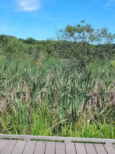 Goodyear Heights Metro Park - Pioneer Area - Akron, OH