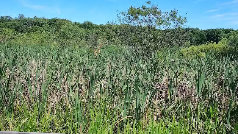 Goodyear Heights Metro Park - Pioneer Area - Akron, OH