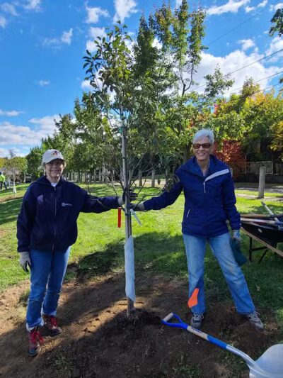 Lane Field Park - Akron, OH