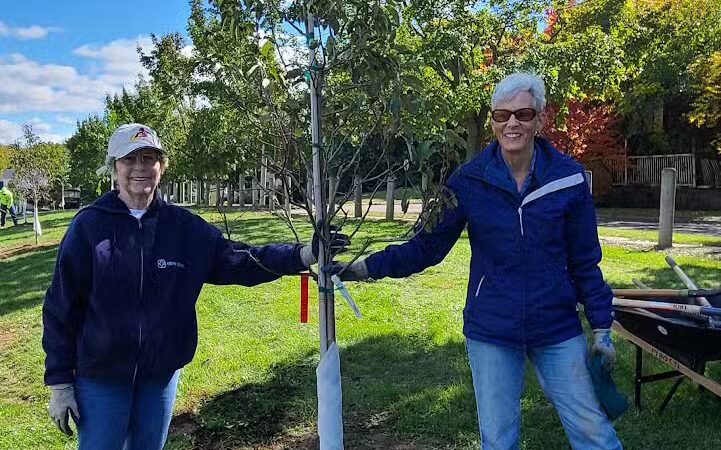 Lane Field Park - Akron, OH