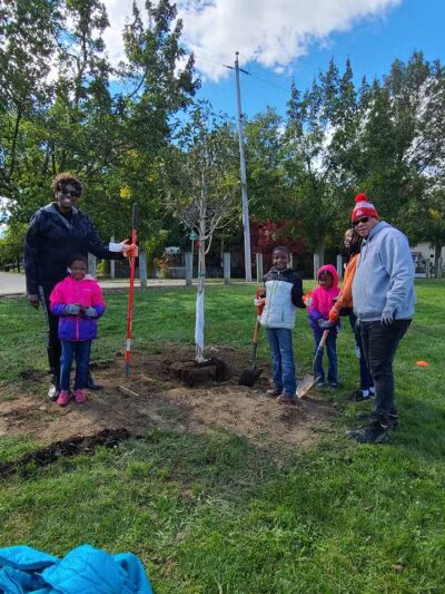 Lane Field Park - Akron, OH