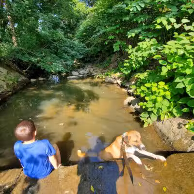 Lion's Park - Akron, OH