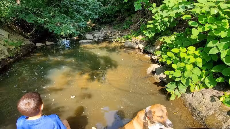 Lion's Park - Akron, OH