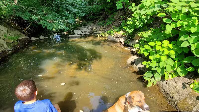 Lion's Park - Akron, OH