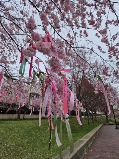 Lock 2 Park - Akron, OH