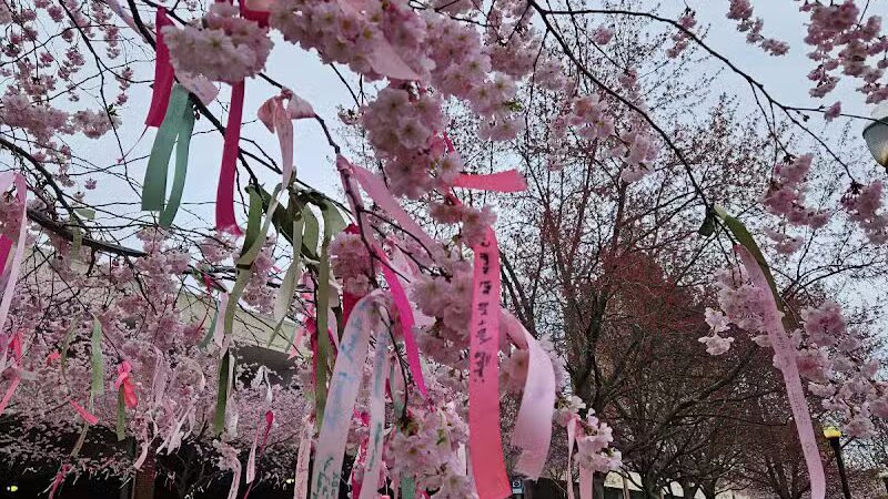 Lock 2 Park - Akron, OH