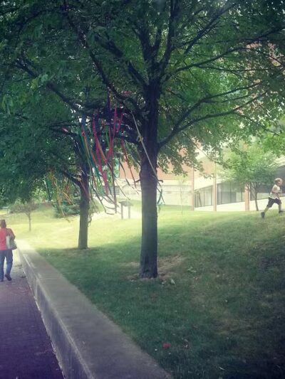 Lock 2 Park - Akron, OH