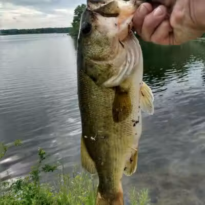 Portage Lakes State Park - Akron, OH