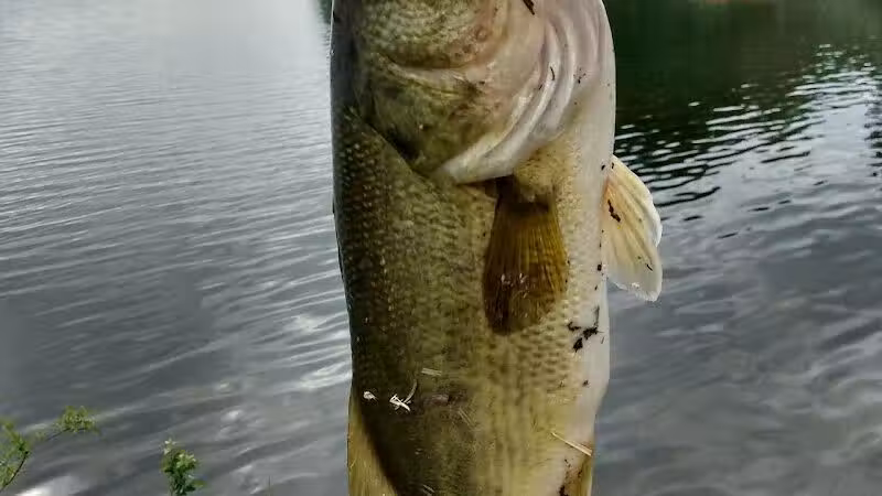 Portage Lakes State Park - Akron, OH