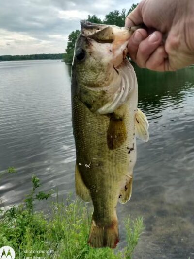Portage Lakes State Park - Akron, OH