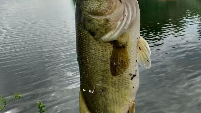 Portage Lakes State Park - Akron, OH