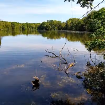 Portage Lakes State Park - Akron, OH